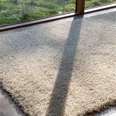 Ray Soft Desert 158601 Rug