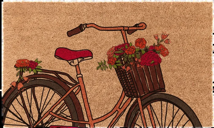 Spring Ride Bike